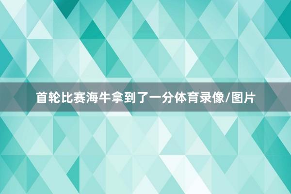 首轮比赛海牛拿到了一分体育录像/图片