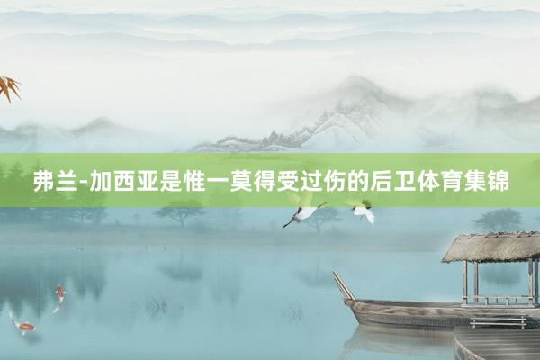 弗兰-加西亚是惟一莫得受过伤的后卫体育集锦