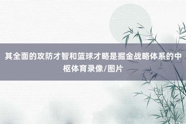 其全面的攻防才智和篮球才略是掘金战略体系的中枢体育录像/图片