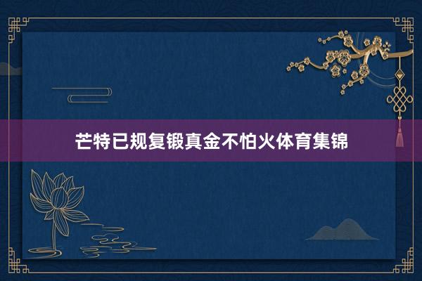 芒特已规复锻真金不怕火体育集锦