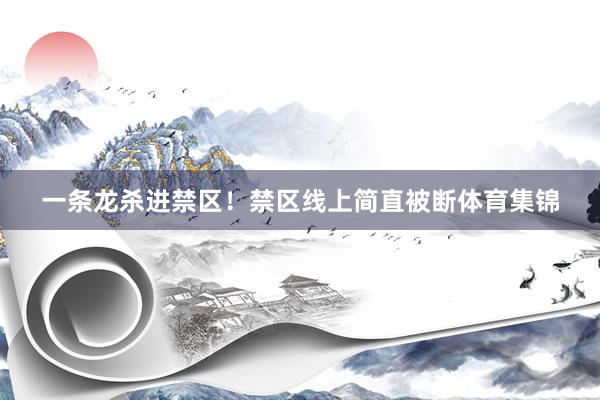 一条龙杀进禁区！禁区线上简直被断体育集锦