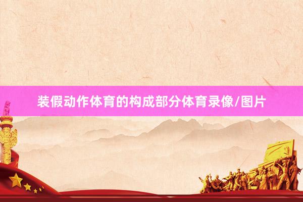 装假动作体育的构成部分体育录像/图片