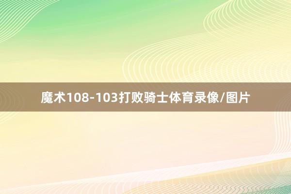 魔术108-103打败骑士体育录像/图片