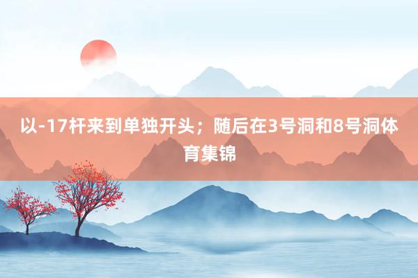 以-17杆来到单独开头；随后在3号洞和8号洞体育集锦