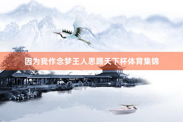因为我作念梦王人思踢天下杯体育集锦