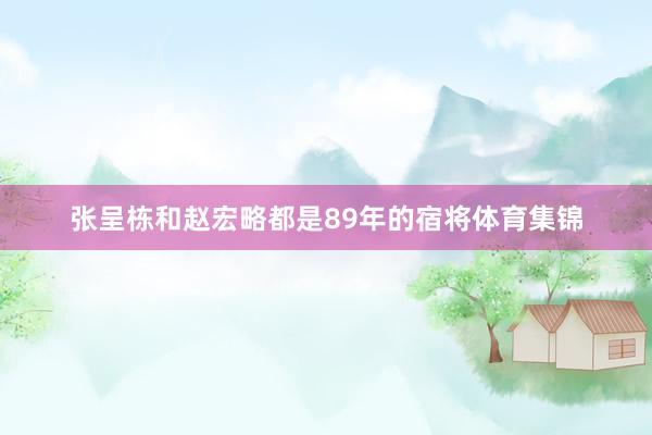 张呈栋和赵宏略都是89年的宿将体育集锦