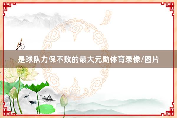是球队力保不败的最大元勋体育录像/图片