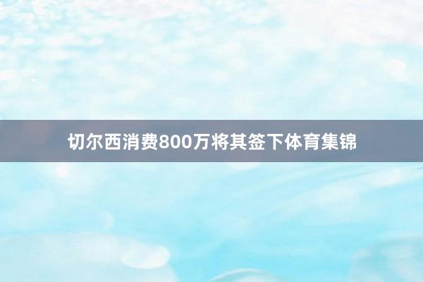 切尔西消费800万将其签下体育集锦