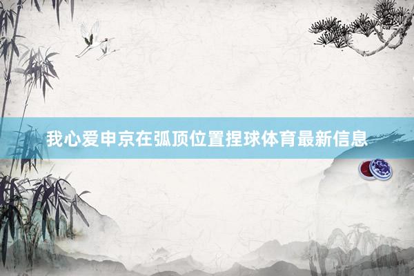 我心爱申京在弧顶位置捏球体育最新信息
