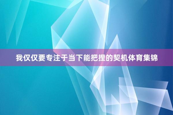 我仅仅要专注于当下能把捏的契机体育集锦