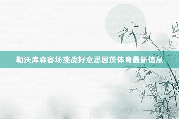 勒沃库森客场挑战好意思因茨体育最新信息