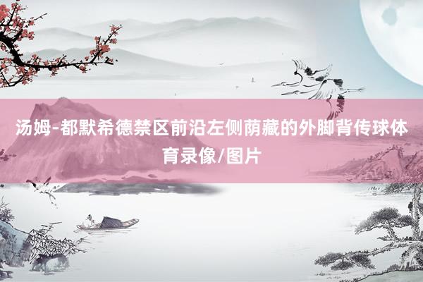 汤姆-都默希德禁区前沿左侧荫藏的外脚背传球体育录像/图片
