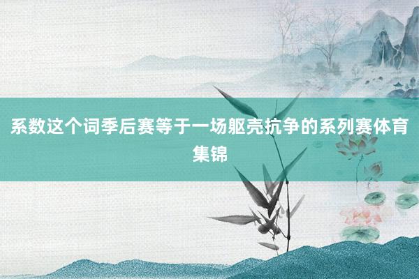 系数这个词季后赛等于一场躯壳抗争的系列赛体育集锦