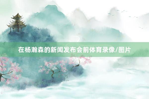 在杨瀚森的新闻发布会前体育录像/图片