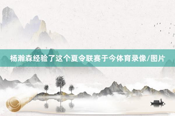 杨瀚森经验了这个夏令联赛于今体育录像/图片
