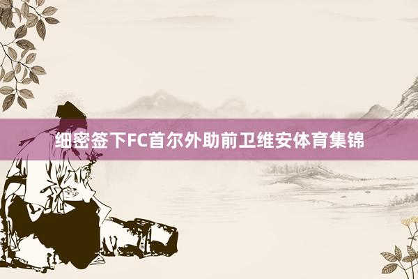 细密签下FC首尔外助前卫维安体育集锦