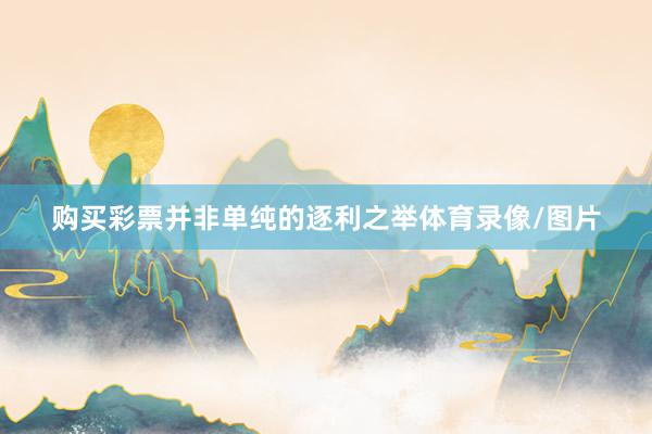 购买彩票并非单纯的逐利之举体育录像/图片