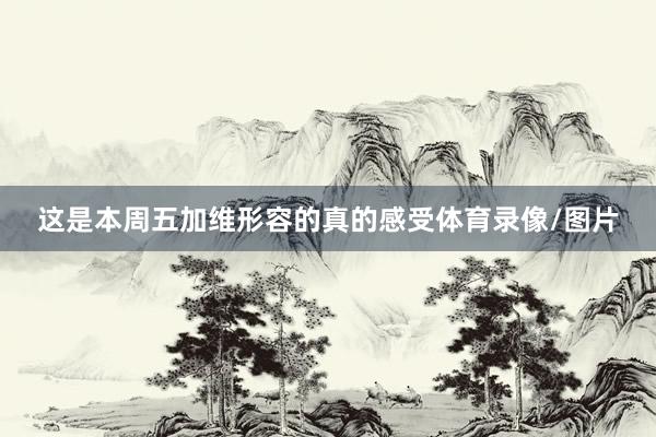 这是本周五加维形容的真的感受体育录像/图片