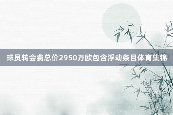 球员转会费总价2950万欧包含浮动条目体育集锦