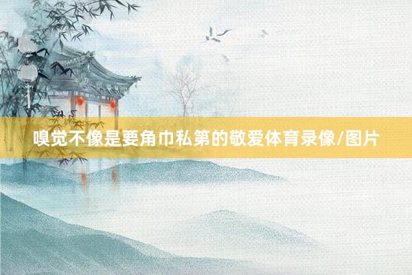 嗅觉不像是要角巾私第的敬爱体育录像/图片