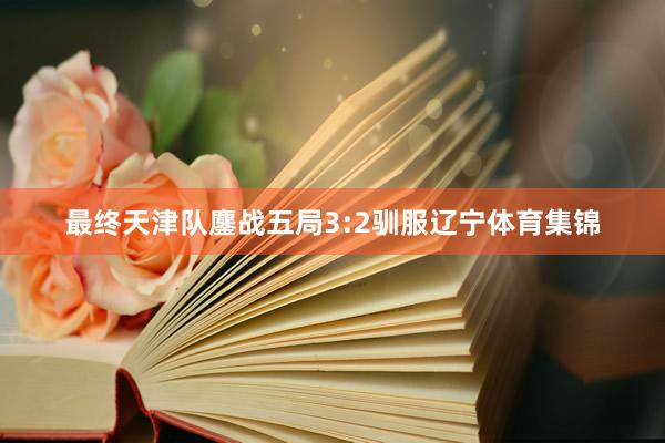 最终天津队鏖战五局3:2驯服辽宁体育集锦