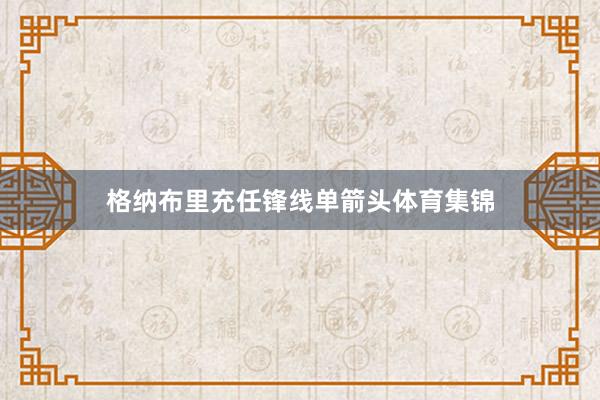 格纳布里充任锋线单箭头体育集锦