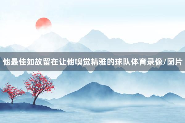 他最佳如故留在让他嗅觉精雅的球队体育录像/图片