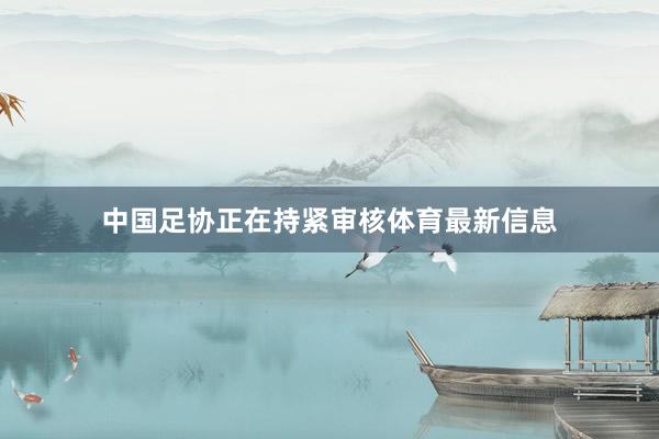 中国足协正在持紧审核体育最新信息