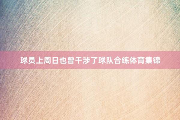 球员上周日也曾干涉了球队合练体育集锦