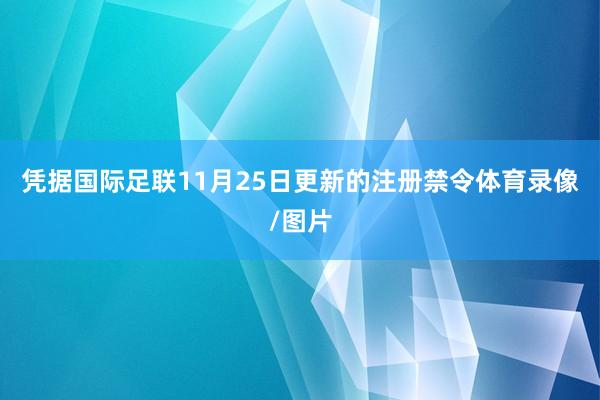 凭据国际足联11月25日更新的注册禁令体育录像/图片
