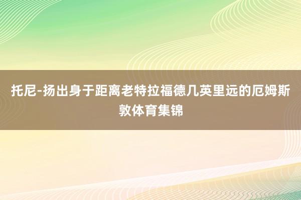 托尼-扬出身于距离老特拉福德几英里远的厄姆斯敦体育集锦