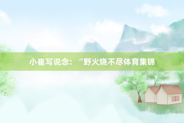 小崔写说念：“野火烧不尽体育集锦