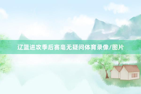 辽篮进攻季后赛毫无疑问体育录像/图片