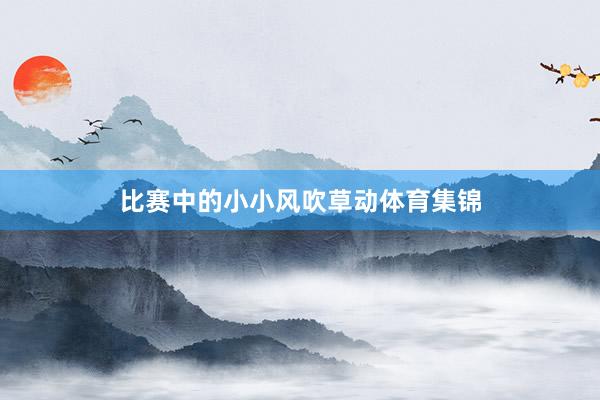 比赛中的小小风吹草动体育集锦