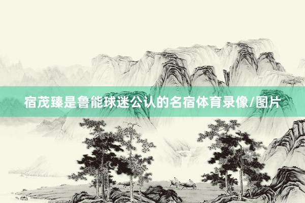 宿茂臻是鲁能球迷公认的名宿体育录像/图片