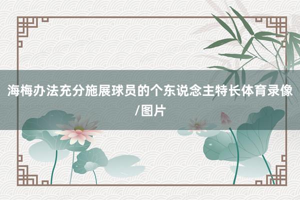 海梅办法充分施展球员的个东说念主特长体育录像/图片