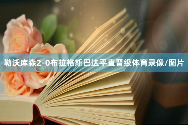 勒沃库森2-0布拉格斯巴达平直晋级体育录像/图片