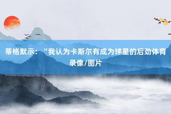 蒂格默示：“我认为卡斯尔有成为球星的后劲体育录像/图片