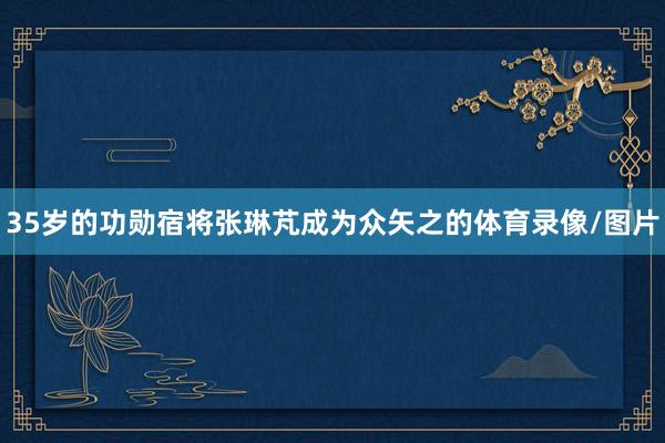 35岁的功勋宿将张琳芃成为众矢之的体育录像/图片