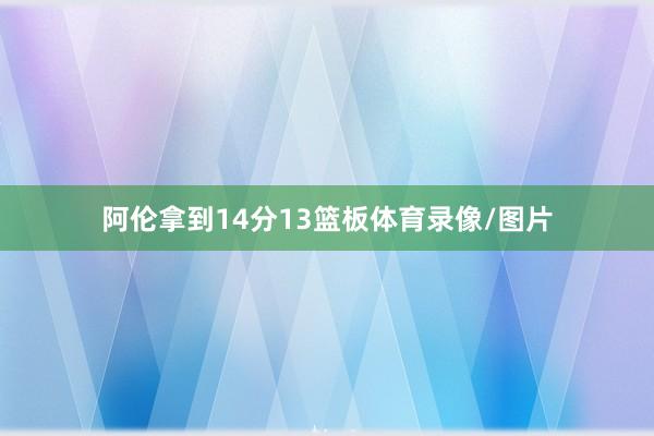 阿伦拿到14分13篮板体育录像/图片