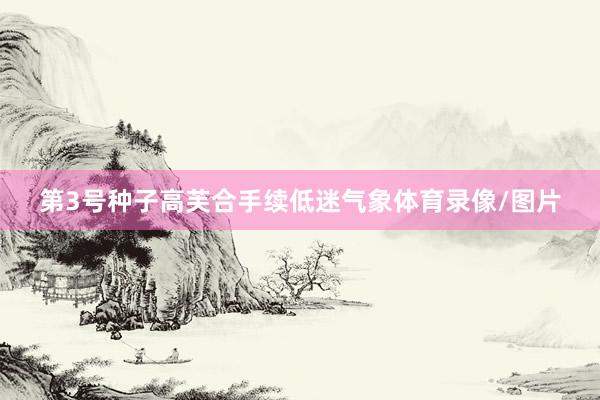 第3号种子高芙合手续低迷气象体育录像/图片