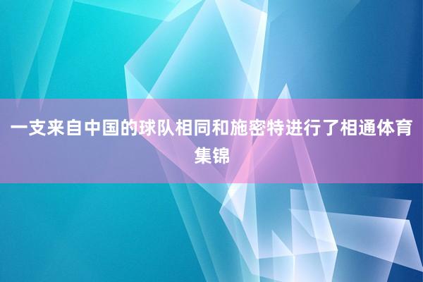 一支来自中国的球队相同和施密特进行了相通体育集锦