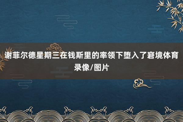 谢菲尔德星期三在钱斯里的率领下堕入了窘境体育录像/图片