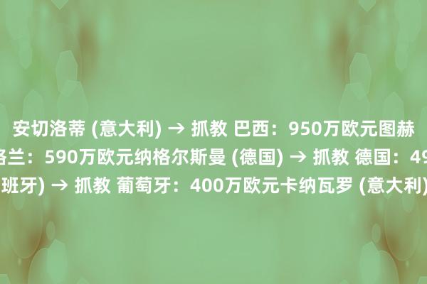 安切洛蒂 (意大利) → 抓教 巴西：950万欧元图赫尔 (德国) → 抓教 英格兰：590万欧元纳格尔斯曼 (德国) → 抓教 德国：490万欧元马丁内斯 (西班牙) → 抓教 葡萄牙：400万欧元卡纳瓦罗 (意大利) → 抓教 乌兹别克斯坦：400万欧元德尚 (法国) → 抓教 法国：380万欧元贝尔萨 (阿根廷) → 抓教 乌拉圭：350万欧元科曼 (荷兰) → 抓教 荷兰：300万欧元巴蒂