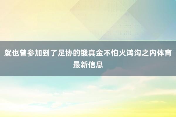 就也曾参加到了足协的锻真金不怕火鸿沟之内体育最新信息