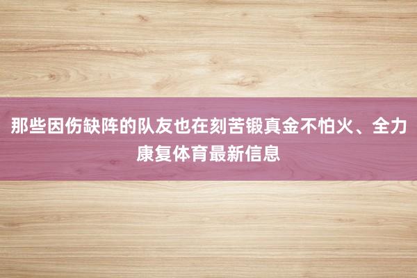 那些因伤缺阵的队友也在刻苦锻真金不怕火、全力康复体育最新信息
