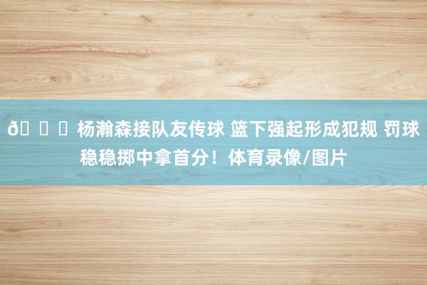 😘杨瀚森接队友传球 篮下强起形成犯规 罚球稳稳掷中拿首分！体育录像/图片