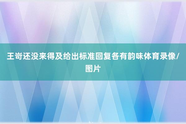 王岢还没来得及给出标准回复各有韵味体育录像/图片