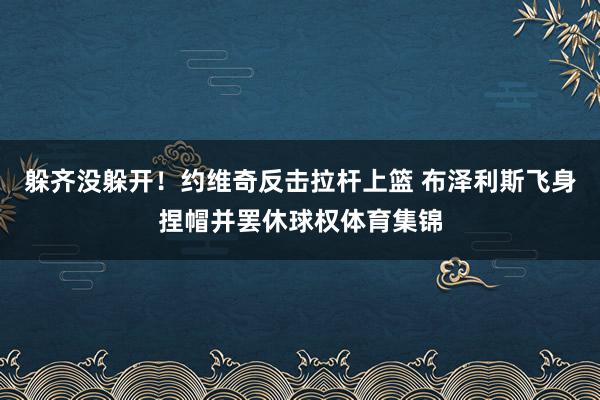 躲齐没躲开！约维奇反击拉杆上篮 布泽利斯飞身捏帽并罢休球权体育集锦