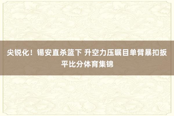尖锐化！锡安直杀篮下 升空力压瞩目单臂暴扣扳平比分体育集锦